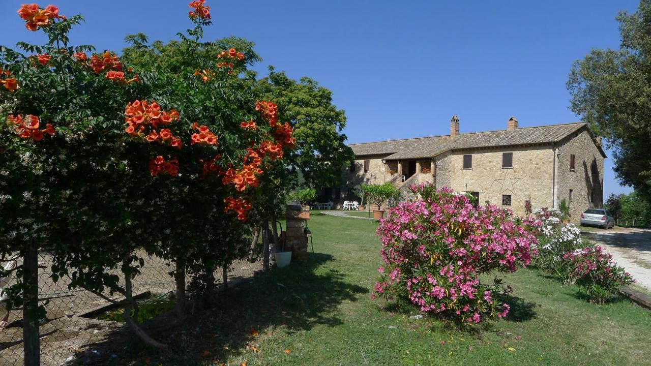 Agriturismo Podere Luchiano Amelia Exterior foto