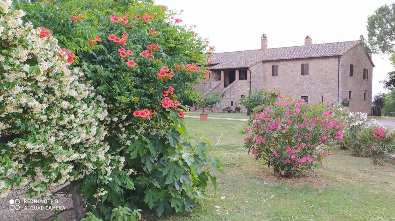 Agriturismo Podere Luchiano Amelia Exterior foto