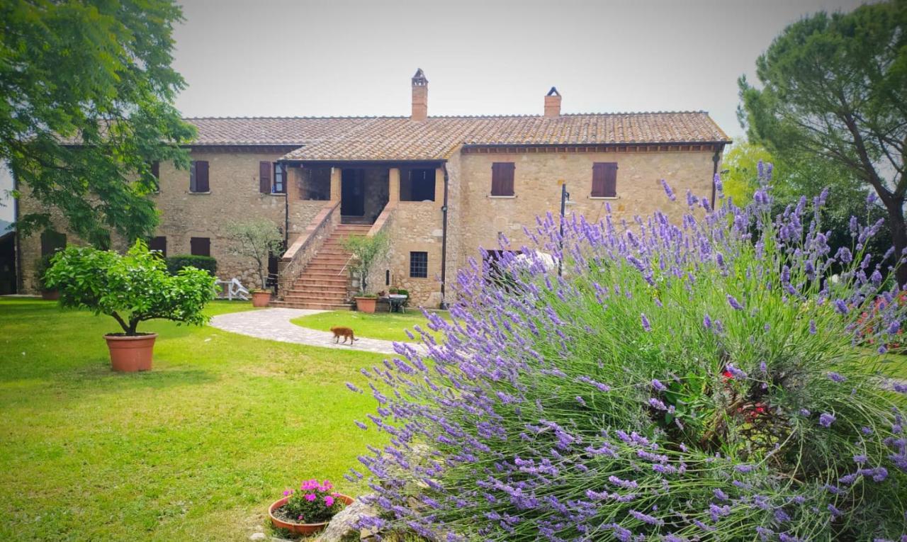 Agriturismo Podere Luchiano Amelia Exterior foto