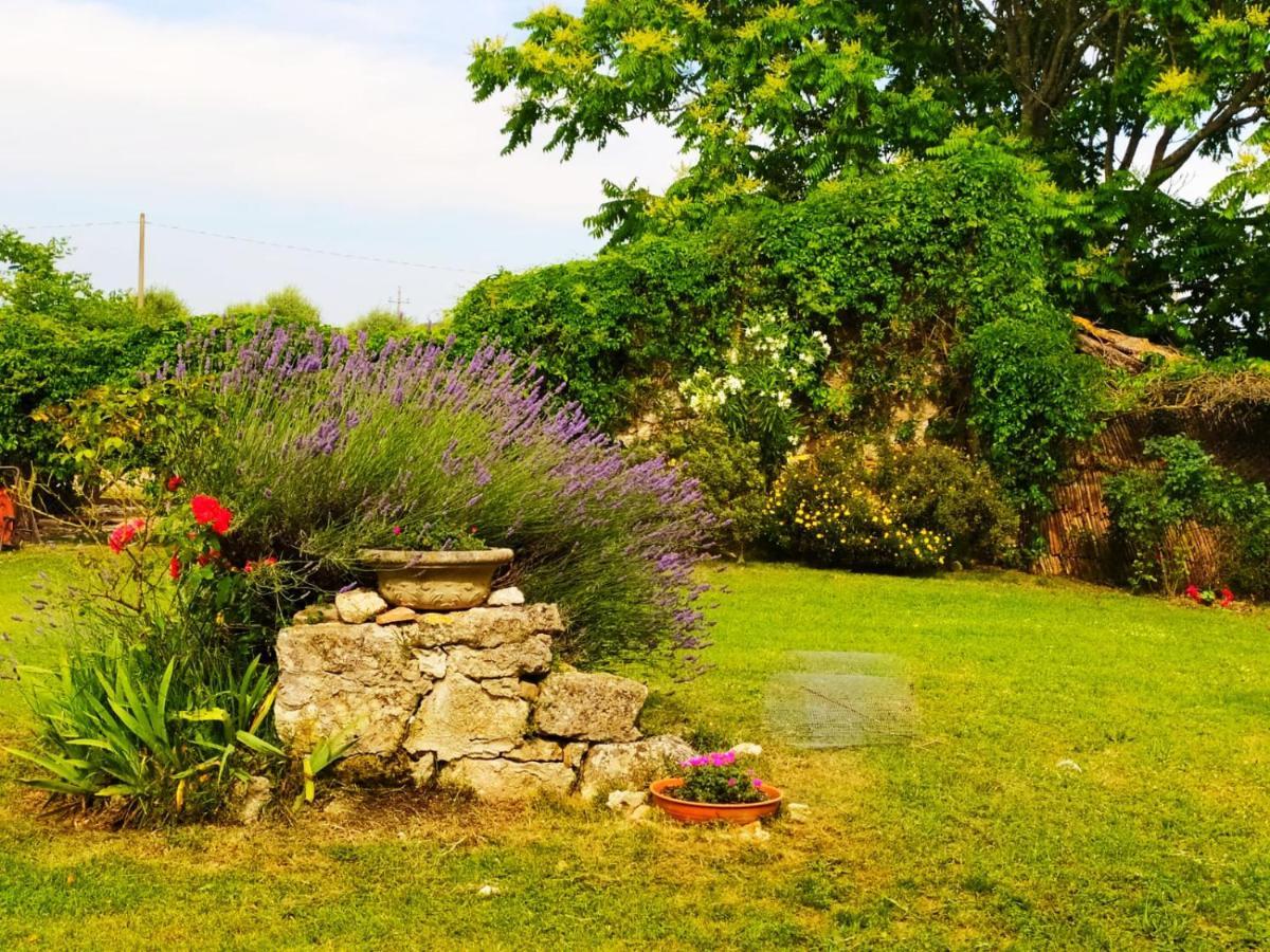 Agriturismo Podere Luchiano Amelia Exterior foto