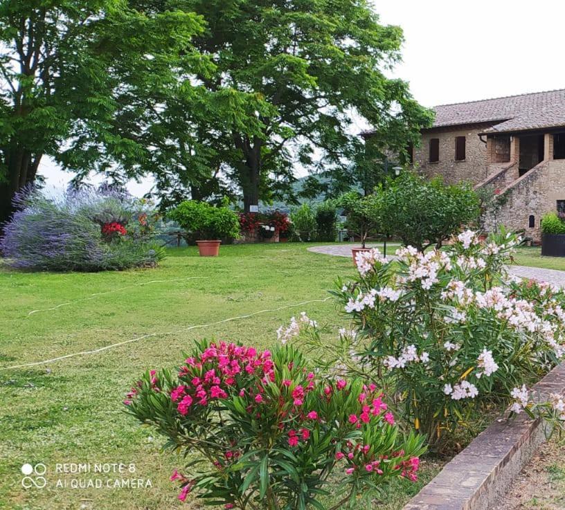 Agriturismo Podere Luchiano Amelia Exterior foto