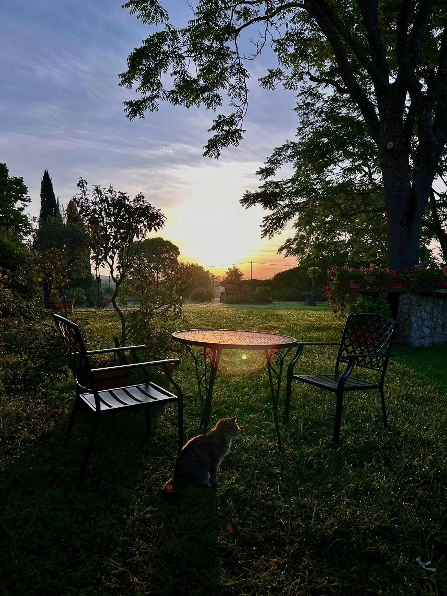 Agriturismo Podere Luchiano Amelia Exterior foto