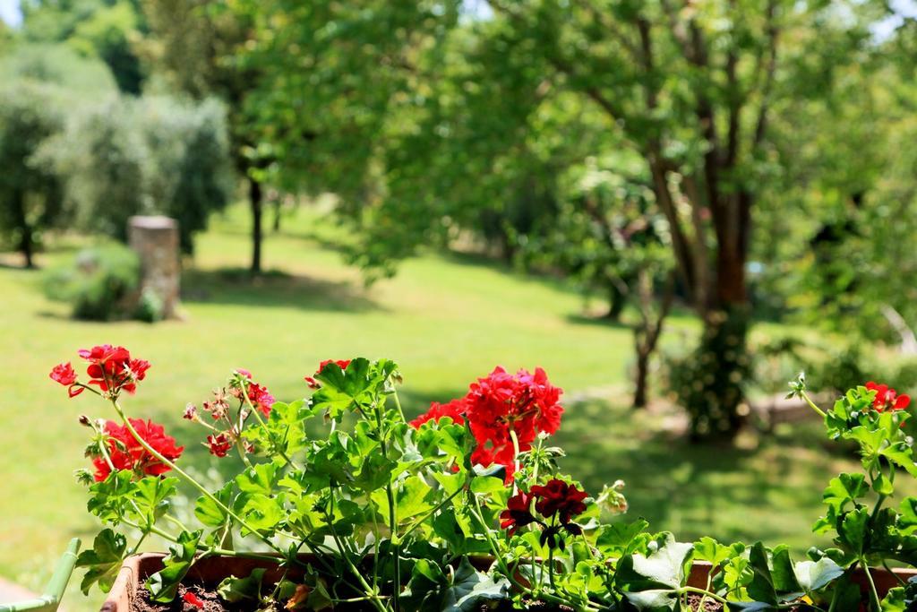 Agriturismo Podere Luchiano Amelia Exterior foto