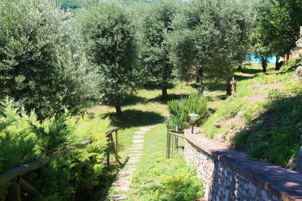 Agriturismo Podere Luchiano Amelia Exterior foto
