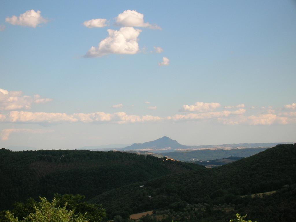 Agriturismo Podere Luchiano Amelia Exterior foto