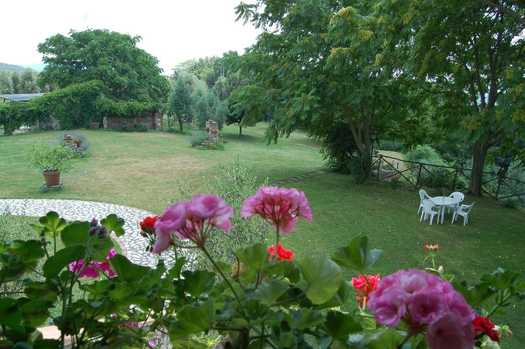 Agriturismo Podere Luchiano Amelia Exterior foto